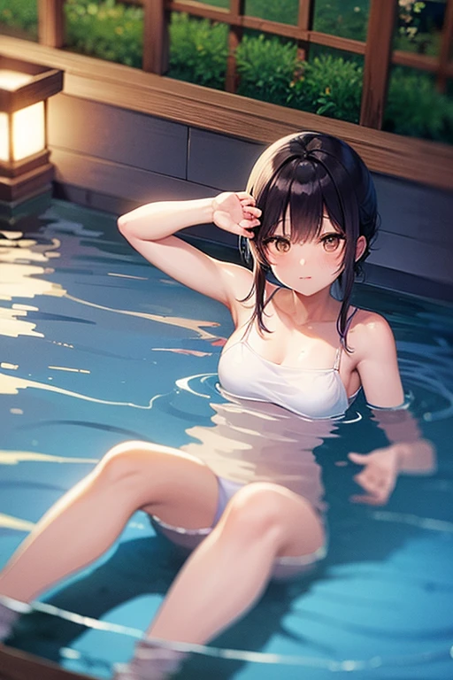 evening、pool、carp