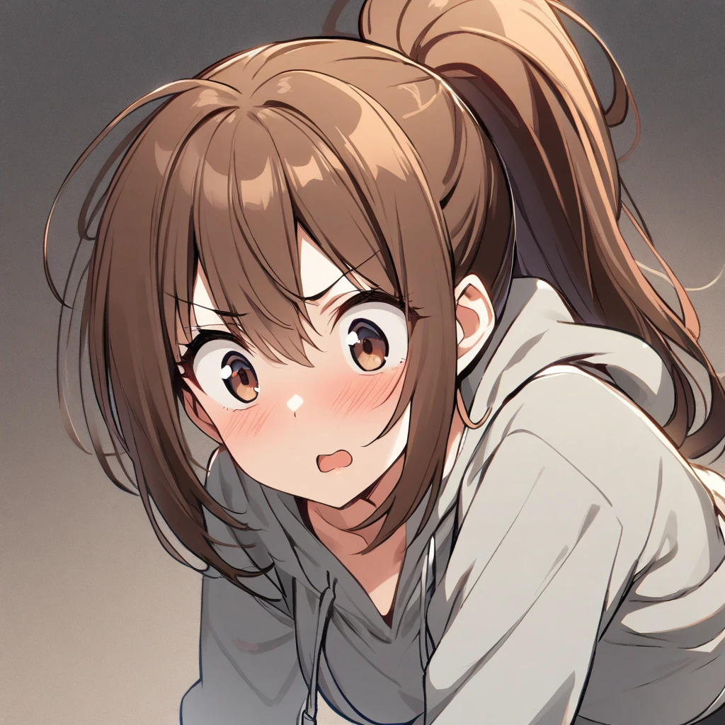 (masterpiece), best quality, expressive eyes, perfect face, 1girl, brown hair、dark brown eyes、ponytail、icon、gray hoodie