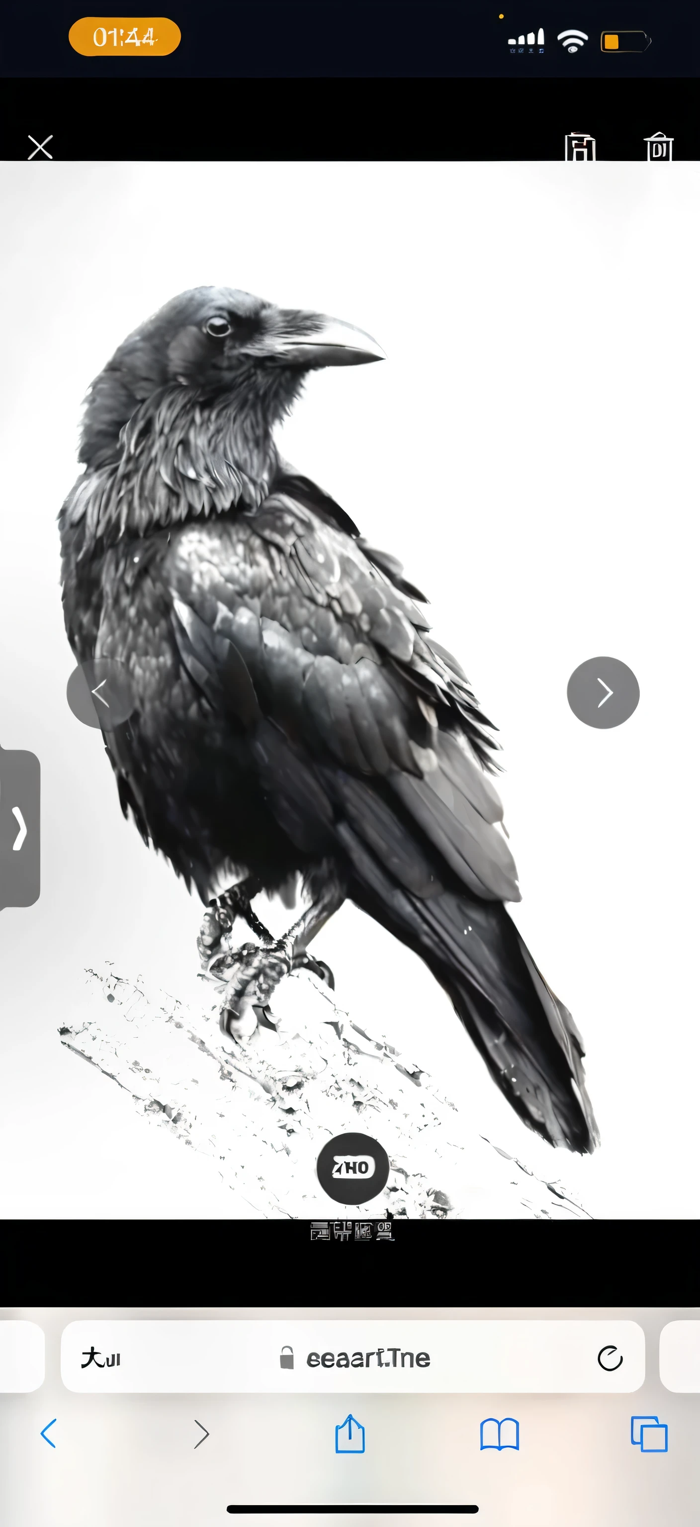a crow,Strong three-dimensionality,The painting style of painter Leng Jun,Realistic oil painting