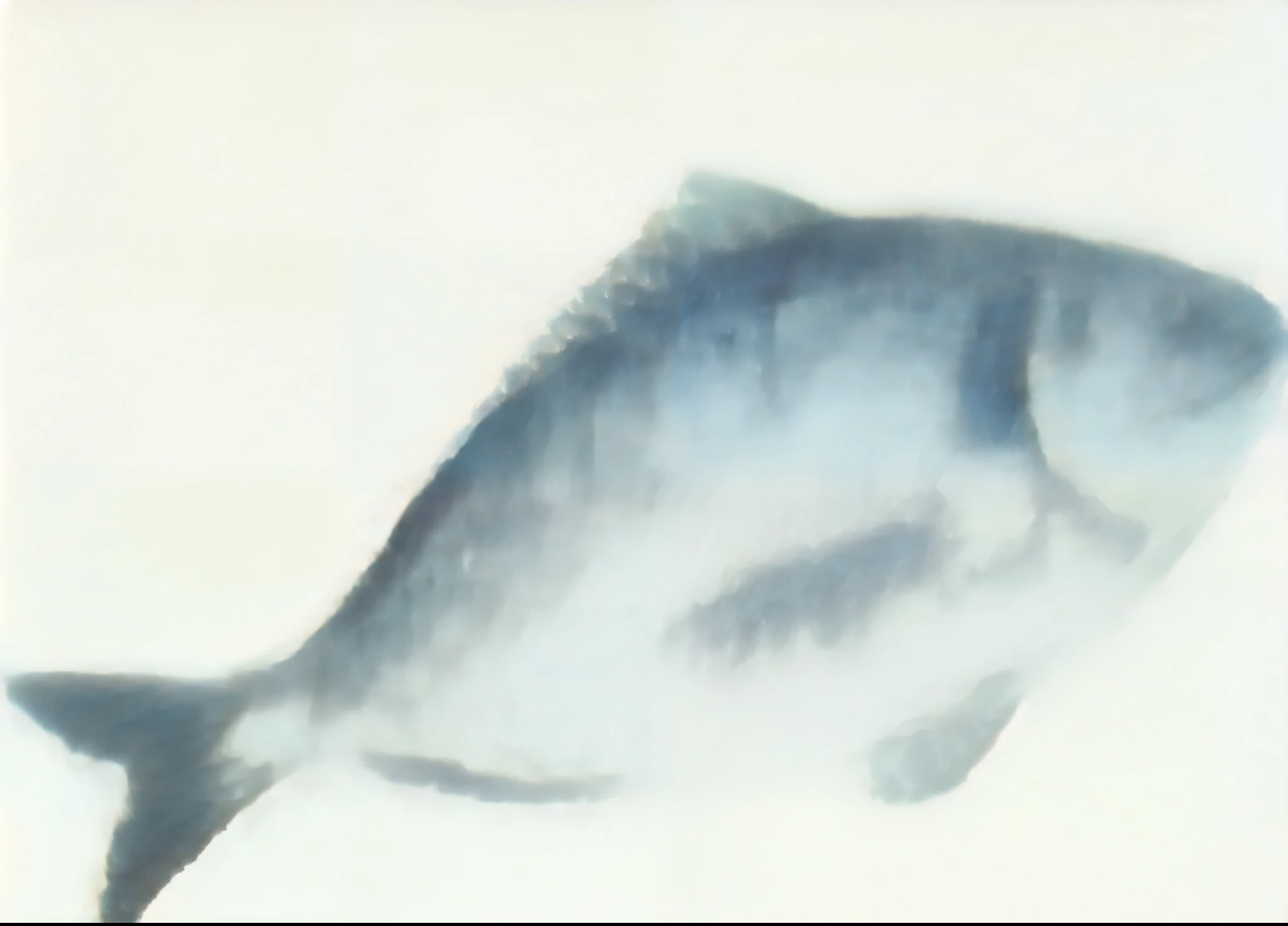 There is a fish standing on a white surface, fish in background, half fish, a silver painting, Selshad, HD illustrations, you see fishes, on gray background, clear focus illustration, on a clear background, High quality illustrations, Highly detailed illustrations, illustration, digital watercolor