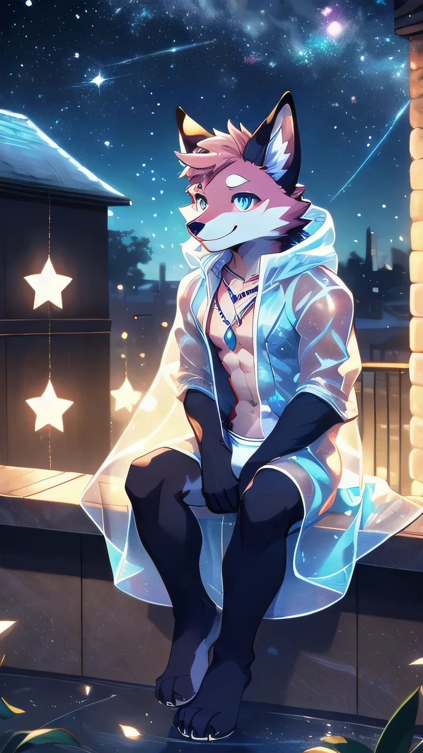 Anthropomorphic fox, In good condition, Pink fur, alone, (Exquisite details), white, Smile, Handsome, OK, transparent raincoat, white underwear, Night time, Sitting on the balcony, Bubbles, Star decoration, canine, male, giggle, (Slim, exquisite eyes), necklace, naked, full-body shot