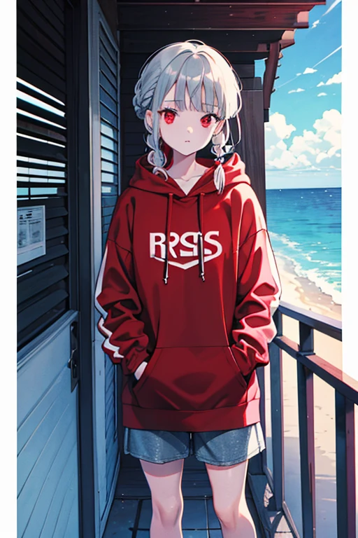 french braid, grey hair, red eyes, hoodie, standing, Fair skin, outdoors, ocean, looking at viewer, 1990s (style), --niji 5 --ar 2:3