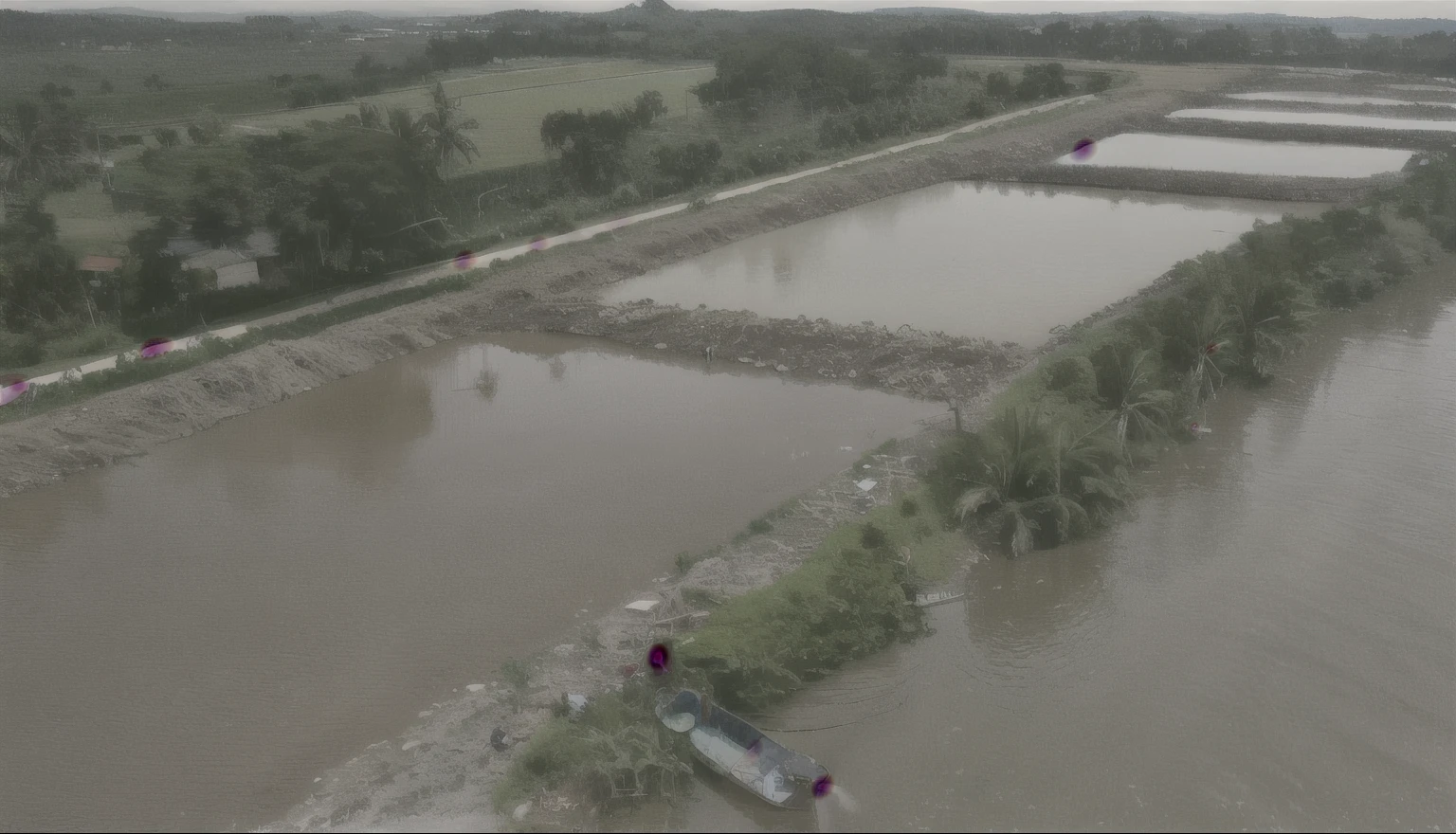 here is a small boat that is floating in the water, fish livestock pond, malaysia trees, subsiding floodwaters, shot from drone, paddy fields and river flowing, by Basuki Abdullah, photo taken from above, villagers busy farming, farming, photo taken in 2 0 2 0, shot from a drone