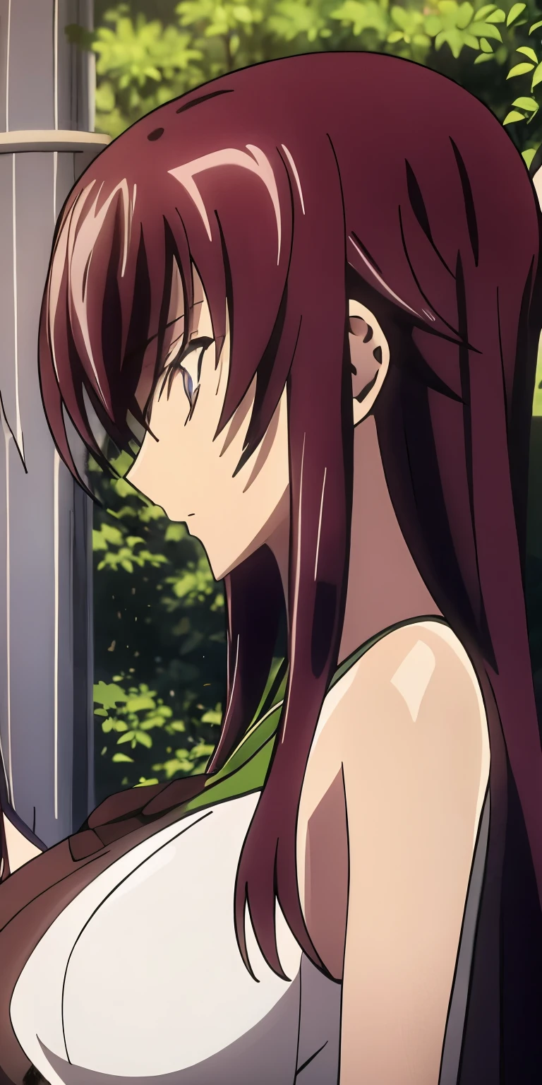 Saeko Busujima y Rias Gremory