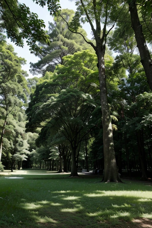 Larges trees with a lush canopy in a park with well-maintained grass and dense forest in the background