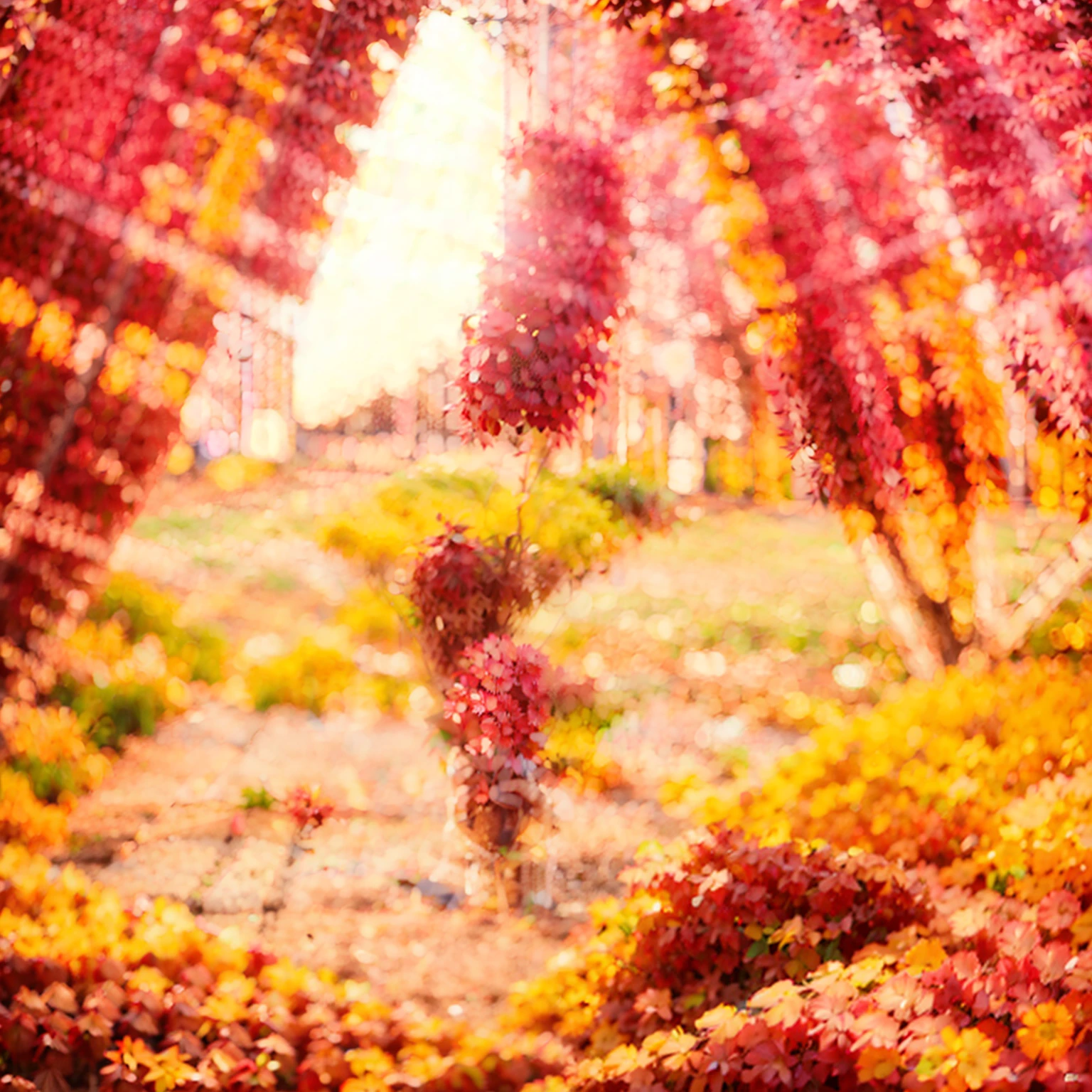  Post para o Instagram, estudo biblical na engenharia civil, Unicamp, estudo biblical sobre sal da terra e luz do mundo, Bible, biblical, arte, Instagram, iluminado, muitas palavras, estudo sobre Mateus 5 13:16 