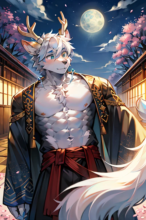 Wolf boy yukata Japanese house gray fur loincloth flushed face glimpse sunset sun scratching face with hand