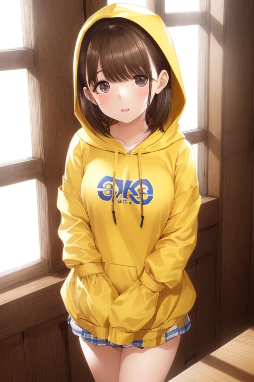 (highest quality、8K、32k、master piece、nffsw:1.2)、

girl, cute, short brown hair, ((Yellow hooded sweatshirt)), Large grains, front, stand up, face, room, window, Light of the sun