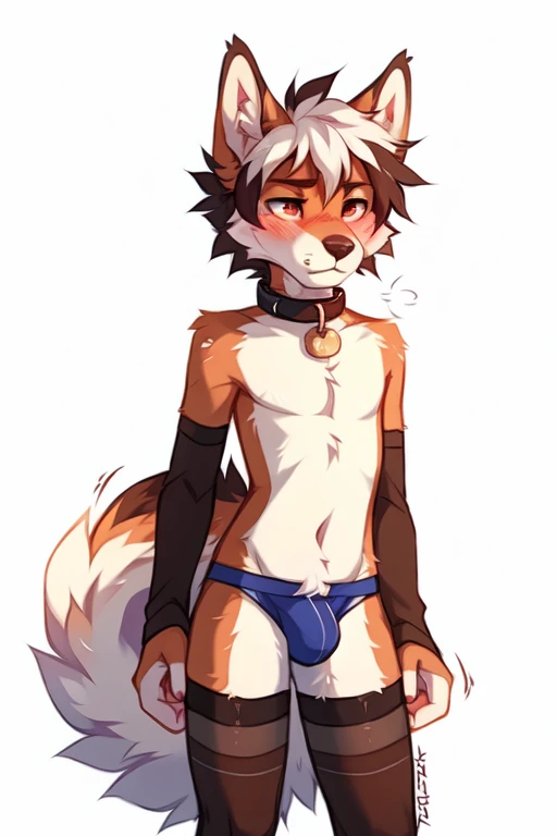 full body,No background, white background, ((by keihound, by reysi)), by Zackary911, by hyattlen, by fumiko, by fluff-kevlar, Furry, Anthro, ((cum)), ((loose collar)), (()), ((twink)), ((small)), ((bored eyes)), ((annoyed expression)), ((blushing)), ((shaking motion line)), full body, short white hair, ((fluffy tail)), ((shirtless,bulge, stockings)),