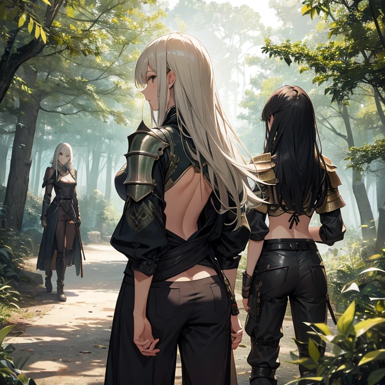 A group of  female knights, (in forest), various hair styles, metal armor, harem, trousers, seducing, backless