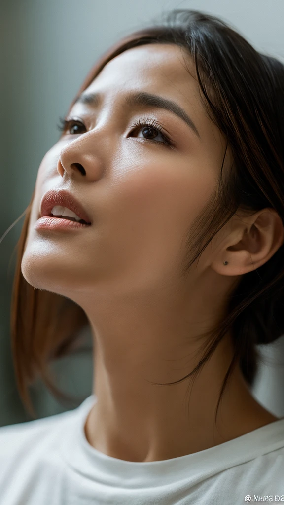 Super Beautiful Adult Face、、1 persons、Sleep on your back、Raise the chin、slightly open eyes、Dull eyes、Climax look of thin lipstick、troubled look、Top image quality、masutepiece 、portlate、red blush、fullnude、