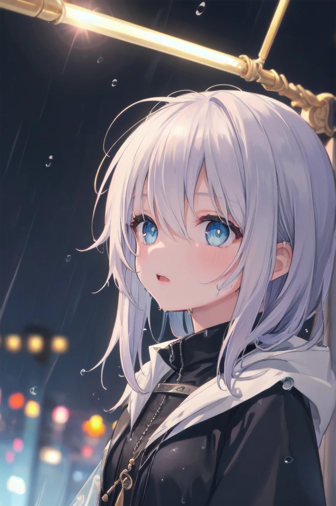 (masterpiece:1.21), (highest quality:1.331), ((Super detailed)), ((very best illustration)), ((wonderful)), (hyper quality), gorgeous and rich graphics,
(very delicate and beautiful:1.21), 8K, wallpaper, (very beautiful lighting), hard light, delicate composition, (perfect composition), (very beautiful and detailed background:1.21), Rembrandt's representation of light and shadow, dark tone, (Low-key, high-dispersion color scale), ((Depth of the bounds written)), deep shadow,
dynamic angle, From the side, Upper body, radial blur,
rain, (city lights, blurred background),
(1 girl),(detailed and beautiful eyes), clear blue eyes, long silver french braid hair,
fatigue,
transparent raincoat, Wet clothes and wet skin and dripping wet hair,
Lens flare, string lights, street,, masterpiece, highest quality,