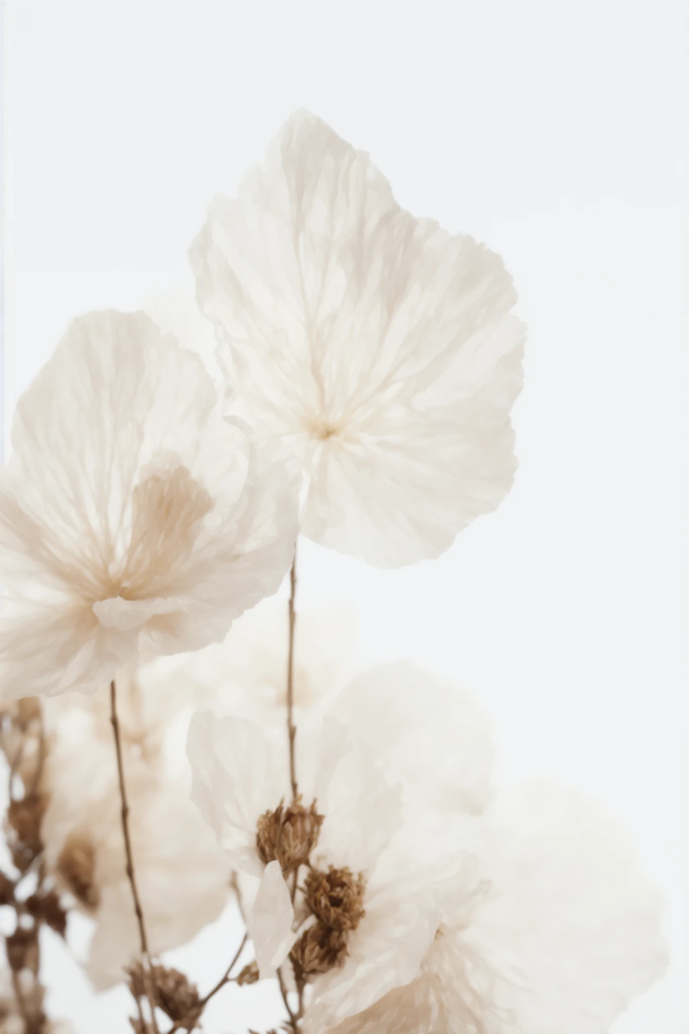 there are many dried flowers in a vase on a table, dried flower, dried flowers, dried plants, dry leaves, translucent leaves, Ethereal details, Soft and complex, made of dried flowers, Incredibly ethereal, dry petals, white petals, flowers with intricate details, botanical medicine, Embossing, Gold Flower, very ethereal, light tone, made of silk paper