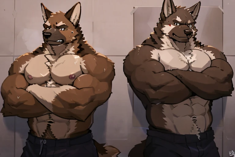 POV,top angle, body stuck in wall,lats,trapezius,butt lift,kemono, anthro (brown dog), male, (brown dog), muscular, back, brown body, white belly ,sweat, ((correct anatomy)), pain expression, canine tooth, hd, dark shadows, wide dynamic range, hdr, low light:1.2, front view, full body, canid, canine, canis, domestic german shepherd mammal, nordic sled dog, wearing hat, hairy red fur in chest and belly, wall, crossed arms, look behind