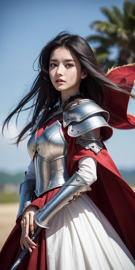 1girl,woman, incredibly absurdres, ultra-detailed, extremely detailed, depth of field, wind, Amazing, beautiful detailed eyes, disheveled hair, closed mouth,extremely detailed,(masterpiece, best quality:1.2)，Armor, red cape, black hair, fine armor,Battlefield princesses, swans, white feathers, swords, gray skies, blood, scars, tattoos,
