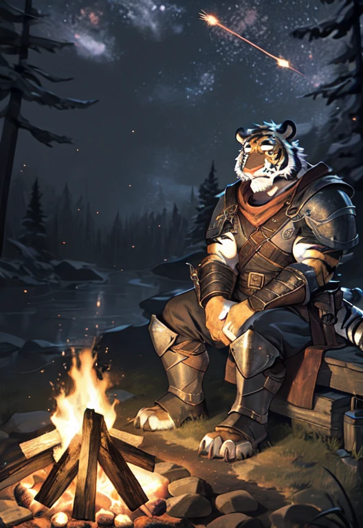 solo, kemono, (tiger), anthro, male, scales, tail, muscles, handsome, armor, medieval, fantasy, outdoors, outside, dark, night, forest, campfire, camp, stars, sitting, toe claws, epic, depth of field, perfect lighting, (light particles),(best quality),(masterpiece),(ultra detailed),sharp focus,light particles, big dick