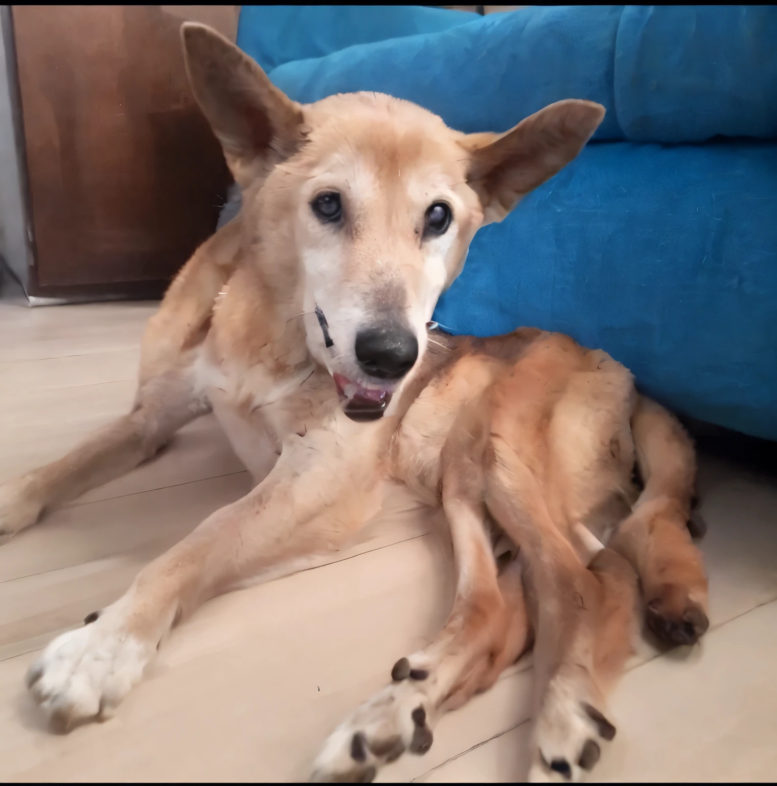 there is a blonde dog that is lying on the ground, dos patas con pies con garras, estilo pixar disney