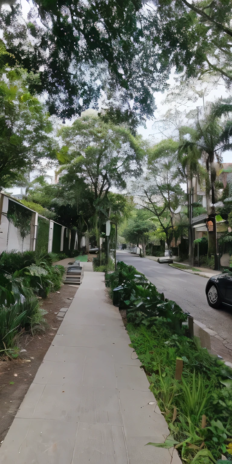 nature growing around the city, the city is full of green plants, forest city streets behind her, lush vegetation in the center, Sresidential area, with lots of vegetation, sloped street, nature returning to the city, green spaces