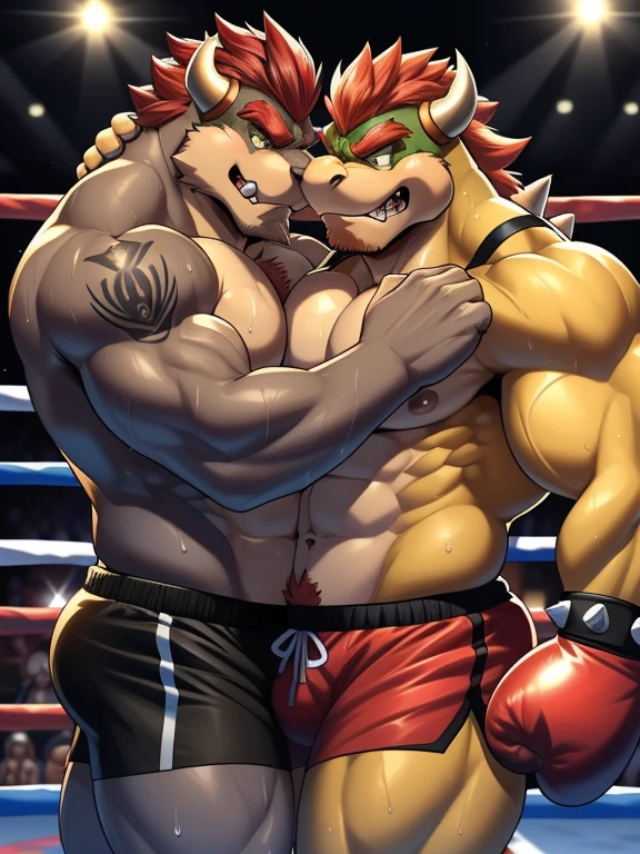 Duo male fighters(Gray Wolf vs Bowser Koopa, handsomes, Thick eyebrows), beso gay((Cuddling embraced in a boxing match)(cuddling body frottage)), hot(Full body, shirtless), handsomes(They are handsomes, correct anatomy), musculosos(Big muscle bodies, Six packs, muscle abs, big pecs), sweaty(very sweaty wet bodies), tatuajes(they have tattoos), Angry(They have an angry expression), Boxing gloves(They both are wearing boxing gloves), boxers(They are wearing shorts boxers), Hight resolution