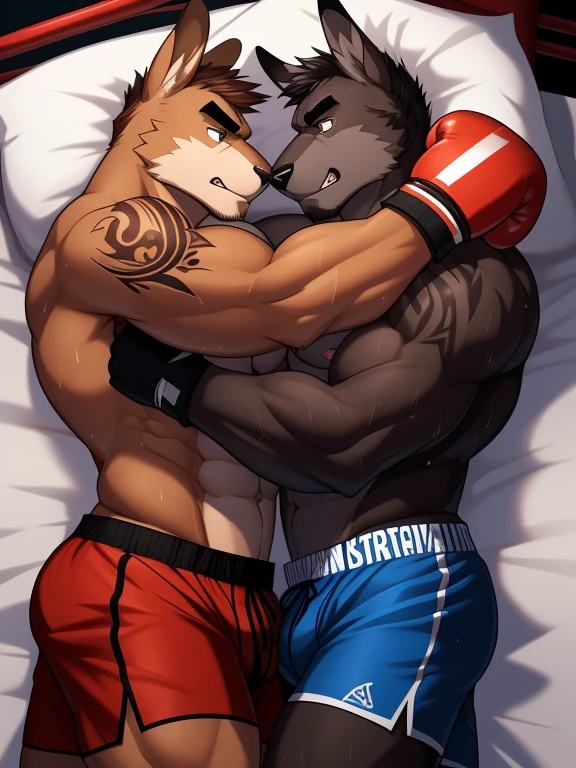 Duo male fighters(Brown Kangaroo vs black Kangaroo, handsomes, Thick eyebrows), beso gay((Cuddling embraced lying down body with body in a bed)(cuddling body frottage)), hot(Full body, shirtless), handsomes(They are handsomes, correct anatomy), musculosos(Big muscle bodies, Six packs, muscle abs, big pecs), sweaty(very sweaty wet bodies), tatuajes(they have tattoos), Angry(They have an angry expression), Boxing gloves(They both are wearing boxing gloves), boxers(They are wearing shorts boxers), Hight resolution