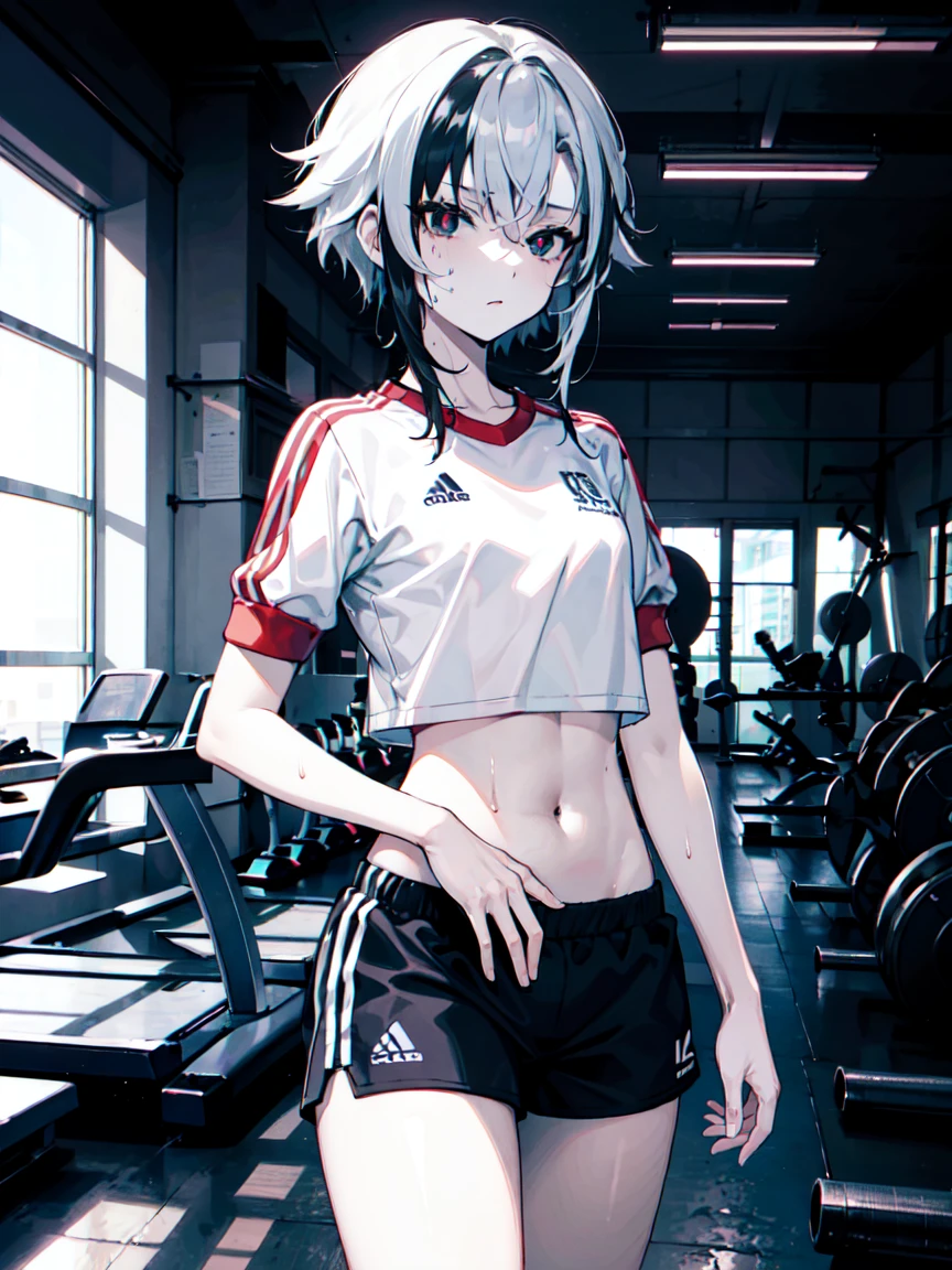 (masterpiece:1.2), (pale skin:1.2), (8K:1.2), (alone:1.2), (woman:1.1), (emphasis line:1.3), black hair, white hair, (colorful hair:1.3), (Good at sports:1.1), (sportswear:1.2), (Gym:1.3), (indoors:1.1), (sweating:1.3), (x-shaped pupils:1.2), black eyes, shorts,belly button