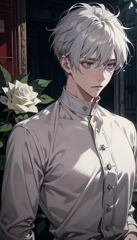 maleの子1人，male，youth，pale teenager，white rose，white shirt，bandage，Blood，Screen contrast is low，high brightness，gray hair，soft writing，soft，romanticism, anime big breasts, Impressionism, cinematic lighting, close, hyper hd, masterpiece, advanced details，