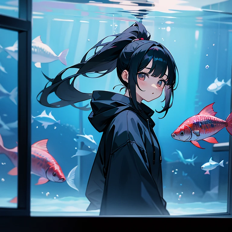 woman、black hair、ponytail、hoodie、aquarium