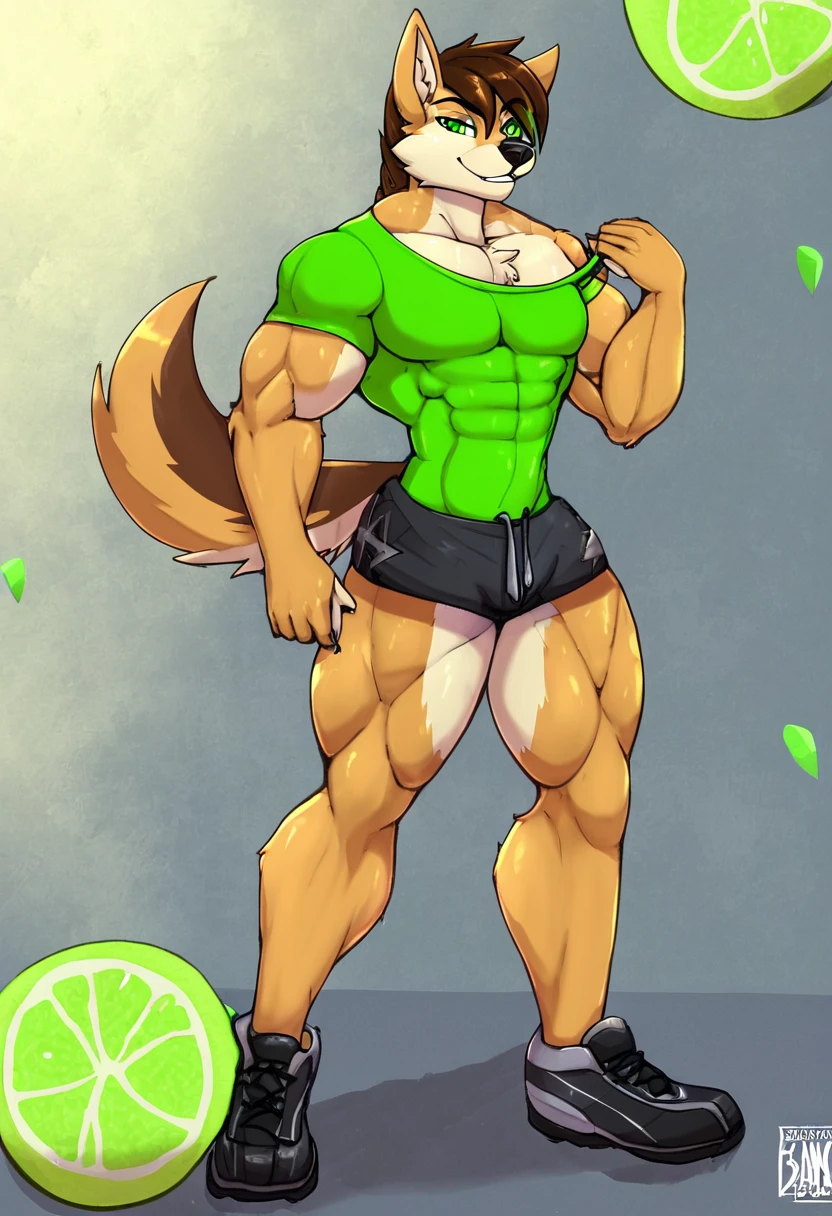 Furry, anthropomorphic wolf ( 70% Wolf, 25% Tamaskan wolfdog, 5% Dingo), Russet fur, dark brown hair, dark green eyes, 6'1 and 173 lbs, 41" Chest, 19" Shoulders, 13" Biceps, 32" waist, 23" Thighs, 15" Calves, 19" Back, wearing lime green hoody, gray-green T-shirt, gray-ish green sweat shorts, wearing dark slate gray slip on shoes ((Best Quality)) ((Masterpiece))