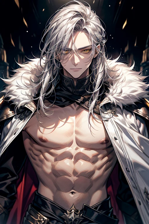 male, long silver tousled hair, White fur cape, yellow eyes, adult face, adult, armored bare chest, fantasy, elite fighter