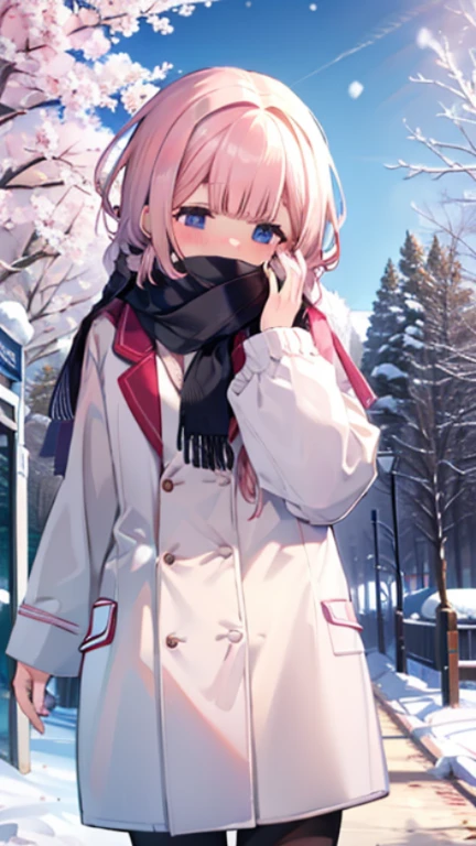 、shyness、blush、embarrassing、blush、peek、Show your face、shyness笑い、、Warm appearance、wear a coat、snow原、snow像、snow、cold、Scarf、Scarfを巻く、降snow、reach out your hand、reach out、hold hands、walk side by side