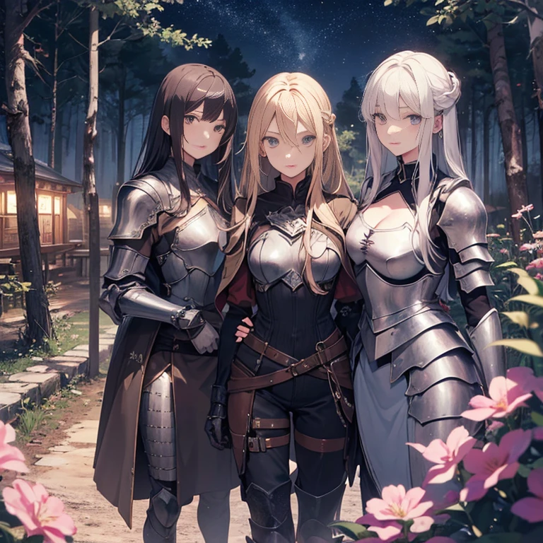 A group of  female knights, (in forest), various hair styles, harem, wearing armored clothes, metal armor, night, details face, trousers, seducing, sword, 