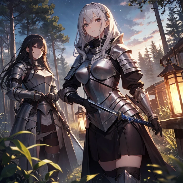 A group of  female knight, (in forest), various hair styles, harem, wearing armored clothes, metal armor, night, details face, , short skirt, seducing, sword 