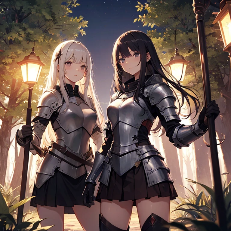 A group of  female knight, (in forest), various hair styles, harem, wearing armored clothes, metal armor, night, details face, , short skirt, seducing, sword 