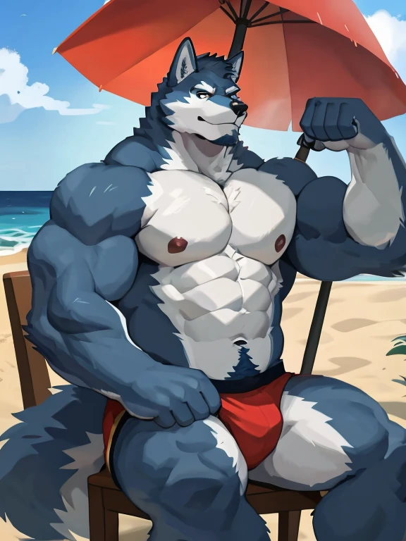 1 boy, solo, there is a blue wolf in a underwear, anthropology, wolf, hairy, blue and white fur, flex left arm muscles, korean muscle boy 2 1 years old, shirtless, the super hot and sexy, the extremely hot and sexy, robust stocky body, 30 year old man :: athletic, beach, half body, flex muscle, sit on chair, umbrella