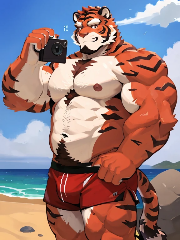 1 boy, solo, there is a red tiger in a underwear, anthropology, red tiger, hairy, red and white fur, flex left arm muscles, korean muscle boy 2 1 years old, shirtless, the super hot and sexy, the extremely hot and sexy, robust stocky body, 30 year old man :: athletic, beach, taking photo people, sneak behind rock