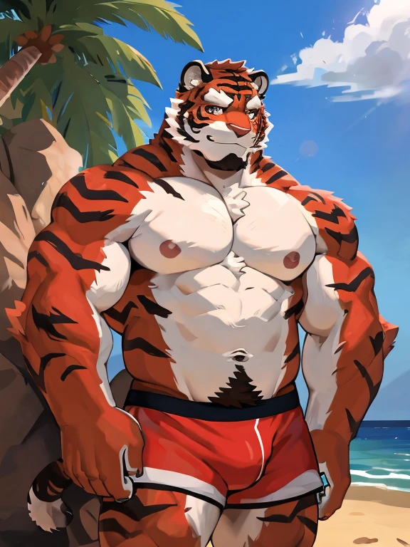 1 boy, solo, there is a red tiger in a underwear, anthropology, red tiger, hairy, red and white fur, flex left arm muscles, korean muscle boy 2 1 years old, shirtless, the super hot and sexy, the extremely hot and sexy, robust stocky body, 30 year old man :: athletic, beach, two ands taking photo people, sneaky behind rock, sit