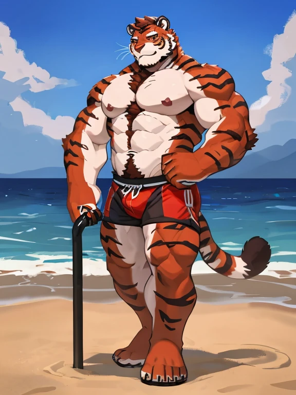 1 boy, solo, there is a red tiger in a underwear, anthropology, red tiger, hairy, red and white fur, flex left arm muscles, korean muscle boy 2 , shirtless, the super hot and sexy, the extremely hot and sexy, robust stocky body, 30 year old man :: athletic, beach, stand, look a side, full body, hand hold icream