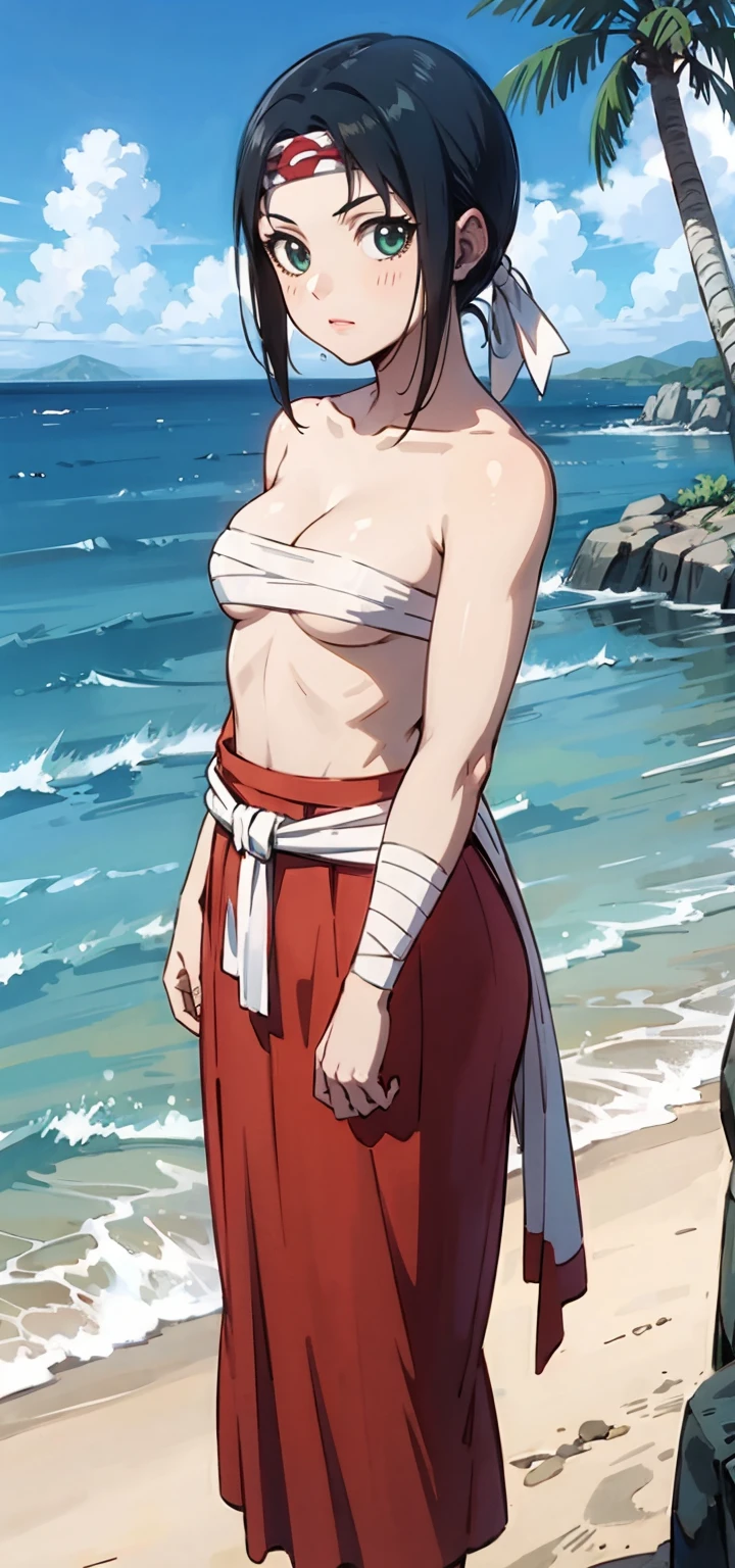 masterpiece, highest quality,
1 girl,black hair, ponytail, green eyes, head band, topless、Sarashi、Chest sarashi、bandage、loincloth、
Are standing, alone, looking at the viewer, Ocean, sand, blue sky, Tropical island background