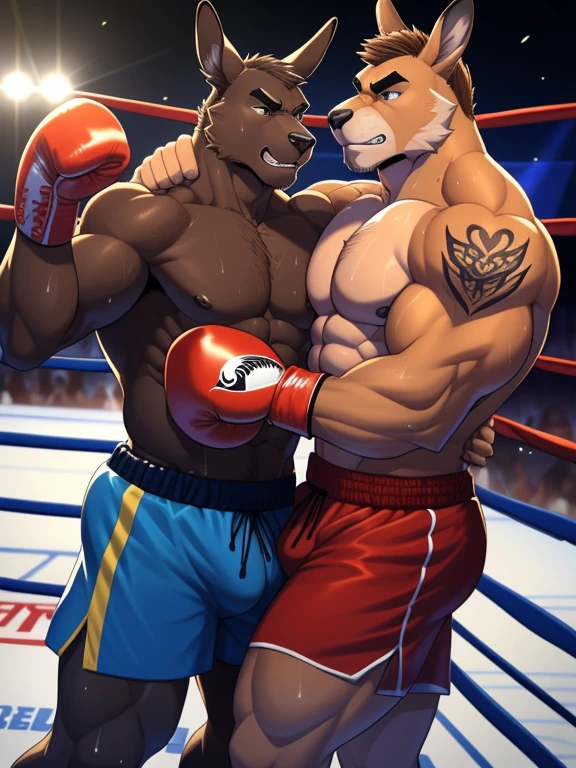 Duo male fighters(Brown Kangaroo vs black Kangaroo, handsomes, Thick eyebrows), beso gay((Cuddling embraced abs with abs in a boxing match, bulges frottage)(cuddling body frottage)), hot(Full body, shirtless), handsomes(They are handsomes, correct anatomy), musculosos(Big muscle bodies, Six packs, muscle abs, big pecs), sweaty(very sweaty wet bodies), tatuajes(they have tattoos), Angry(They have an angry expression), Boxing gloves(They both are wearing boxing gloves), boxers(They are wearing shorts boxers), Hight resolution