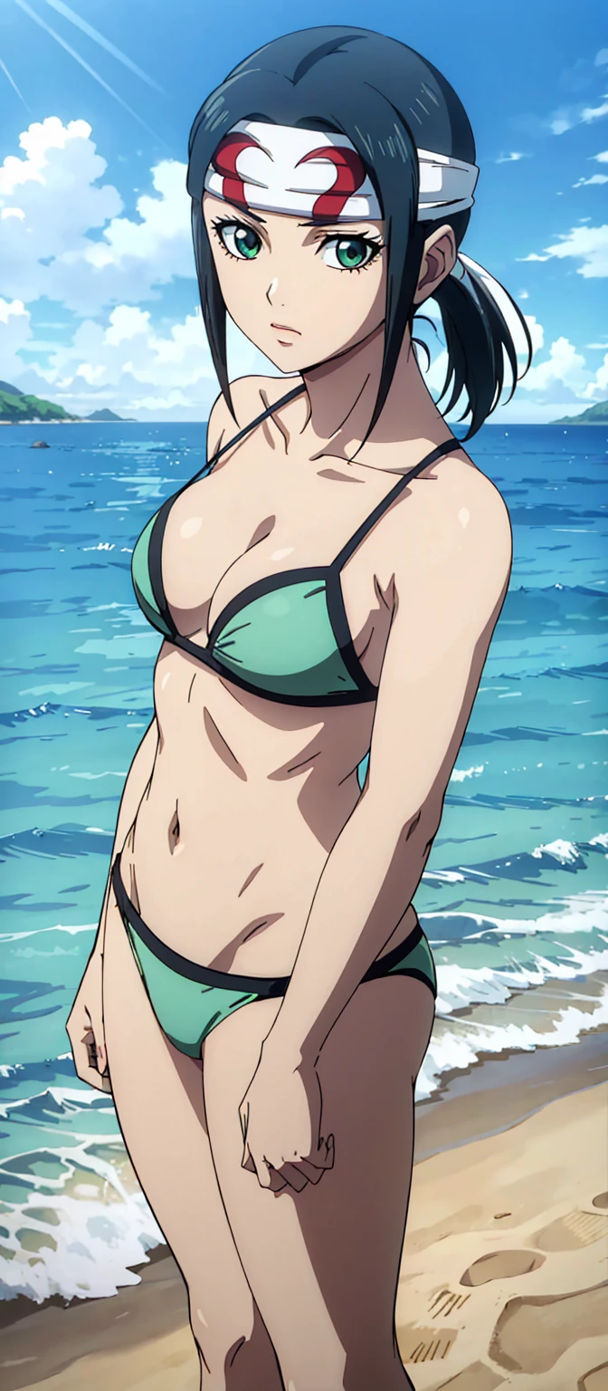 masterpiece, highest quality,
1 girl, Today's meeting, black hair, ponytail, green eyes, head band, bikini,
Are standing, alone, looking at the viewer, Ocean, sand, blue sky, Tropical island background