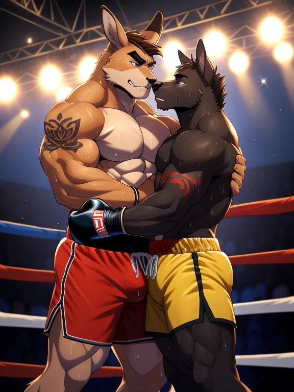 Duo male fighters(Brown Kangaroo vs black Kangaroo, handsomes, Thick eyebrows), beso gay((Cuddling embraced in a boxing match, strong abs)(cuddling body frottage)), hot(Full body, shirtless), handsomes(They are handsomes, correct anatomy), musculosos(Big muscle bodies, Six packs, muscle abs, big pecs), sweaty(very sweaty wet bodies), tatuajes(they have tattoos), Angry(They have an angry expression), Boxing gloves(They both are wearing boxing gloves), boxers(They are wearing shorts boxers), Hight resolution