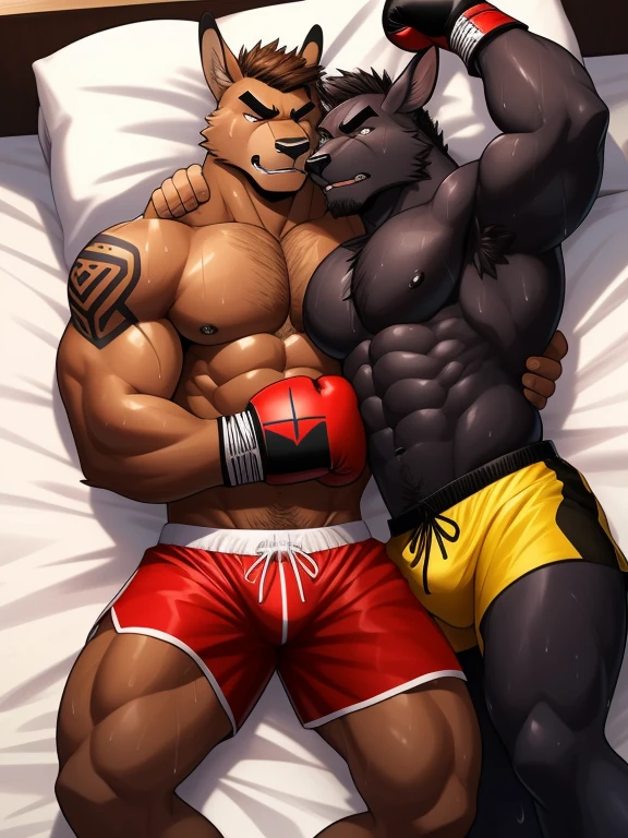 Duo male fighters(Brown Kangaroo vs black Kangaroo, handsomes, Thick eyebrows), beso gay((Lying down trapped from the back with the arms around the neck in a Bed match)(cuddling)), hot(Full body, shirtless), handsomes(They are handsomes, correct anatomy), musculosos(Big muscle bodies, Six packs, muscle abs, big pecs), sweaty(very sweaty wet bodies), tatuajes(they have tattoos), Angry(They have an angry expression), Boxing gloves(They both are wearing boxing gloves), boxers(They are wearing shorts boxers), Hight resolution