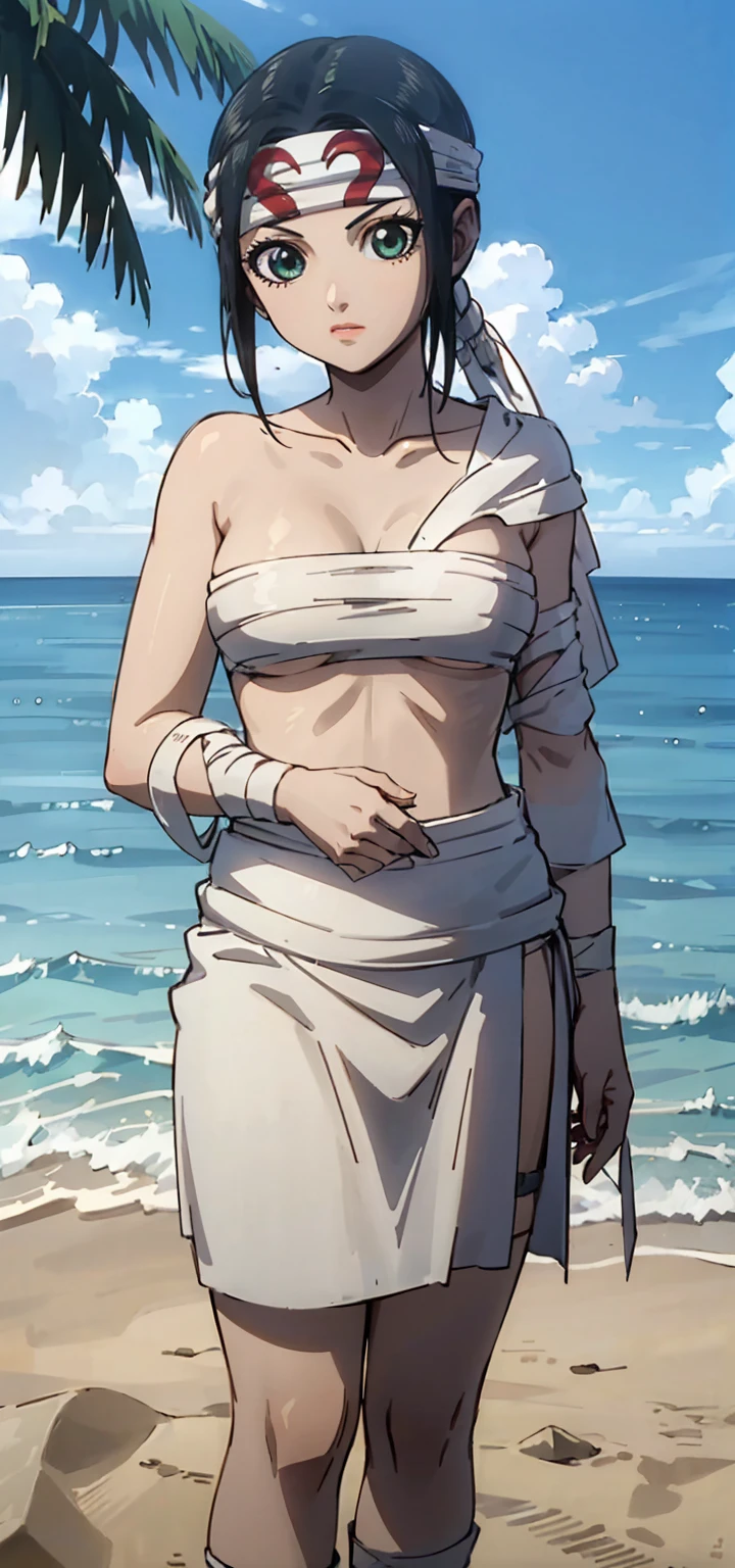 masterpiece, highest quality,
1 girl,black hair, ponytail, green eyes,  head band, topless、Sarashi、Chest sarashi、bandage、loincloth、
Are standing, alone, looking at the viewer, Ocean, sand, blue sky, Tropical island background    