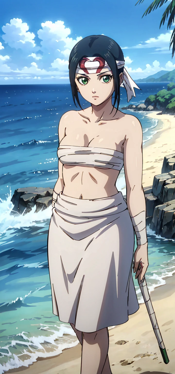 masterpiece, highest quality,
1 girl,black hair, ponytail, green eyes,  head band, topless、Sarashi、Chest sarashi、bandage、loincloth、
Are standing, alone, looking at the viewer, Ocean, sand, blue sky, Tropical island background    