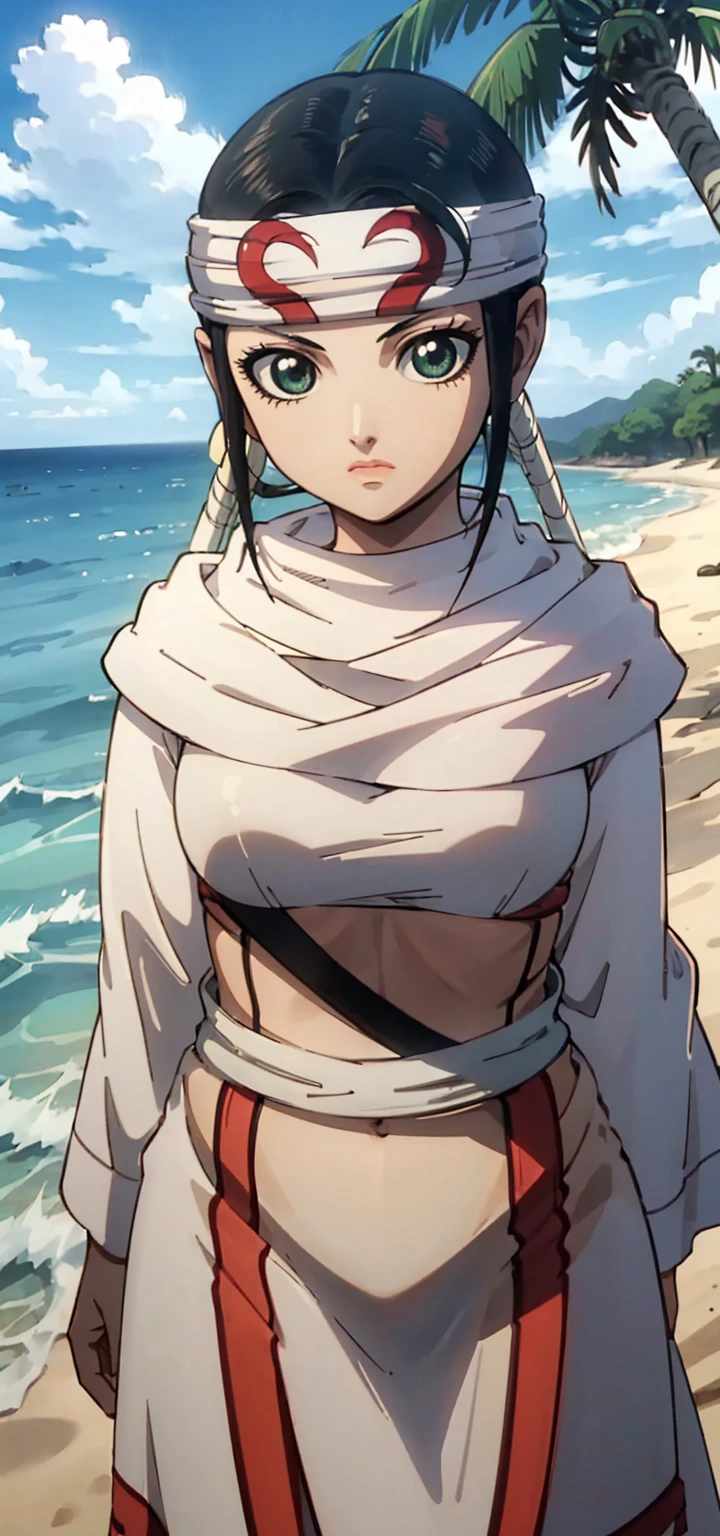 masterpiece, highest quality,
1 girl,black hair, ponytail, green eyes,  head band, topless、Sarashi、Chest sarashi、bandage、loincloth、
Are standing, alone, looking at the viewer, Ocean, sand, blue sky, Tropical island background    