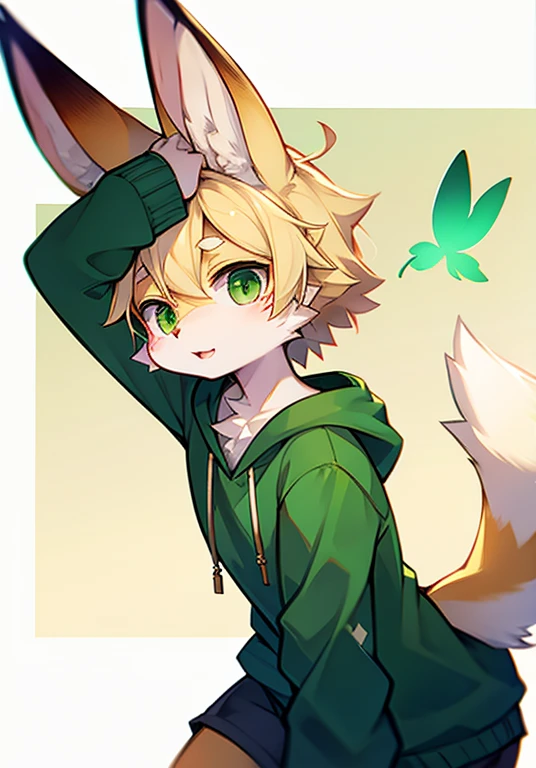 
Fennec fox，deer antlers，green-eyed，There are green butterfly marks on the forehead