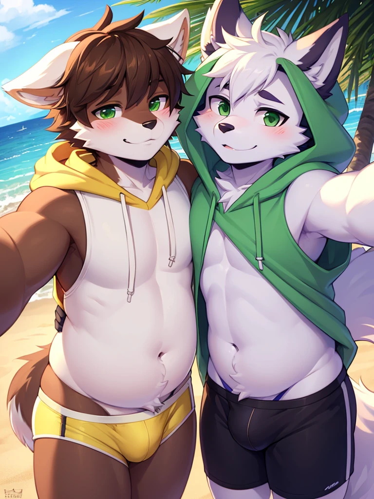 ((best quality, masterpiece, perfect anatomy, detailed picture)), male furry,  white arctic protogen, white arctic fox,  green eyes, sexy body, big buldge, fluffy tail, red blushing, shy, in the beach, front view, handsome,  brown short hair, wearing a yellow underwear, fat , wearing a black  sleeveless hoodie, take a selfie with his male friend wearing a green hoodie and wearing purple underwear, gay, touch crotch