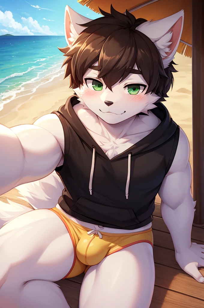 ((best quality, masterpiece, perfect anatomy, detailed picture)), male furry,  white arctic protogen, white arctic fox,  green eyes, sexy body, big buldge, fluffy tail, red blushing, shy, in the beach, front view, handsome,  brown short hair, wearing a yellow underwear, fat , wearing a black  sleeveless hoodie, take a selfie, touch his crotch 