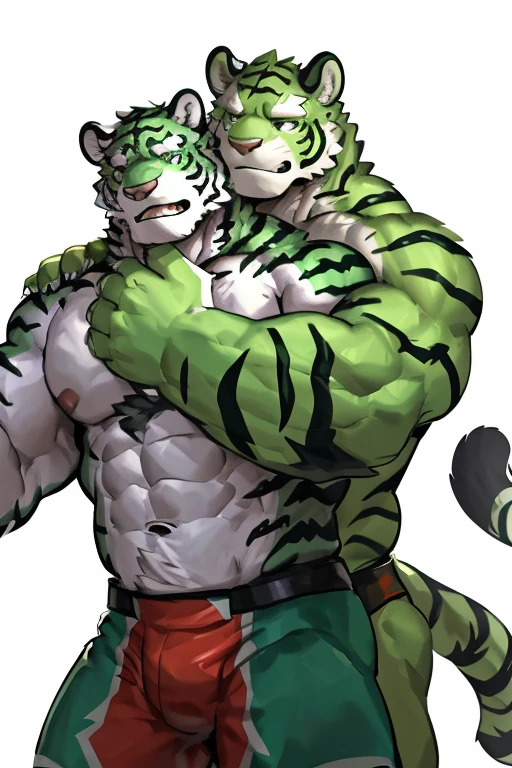 a green tiger and a white tiger wrestling, furry chest, muscular green tiger hug muscular white tiger back, muscular green tiger stand behind, hug from behind, white background, perfect hand, thick furry neck and chest fluff, by lindong, by nullghost