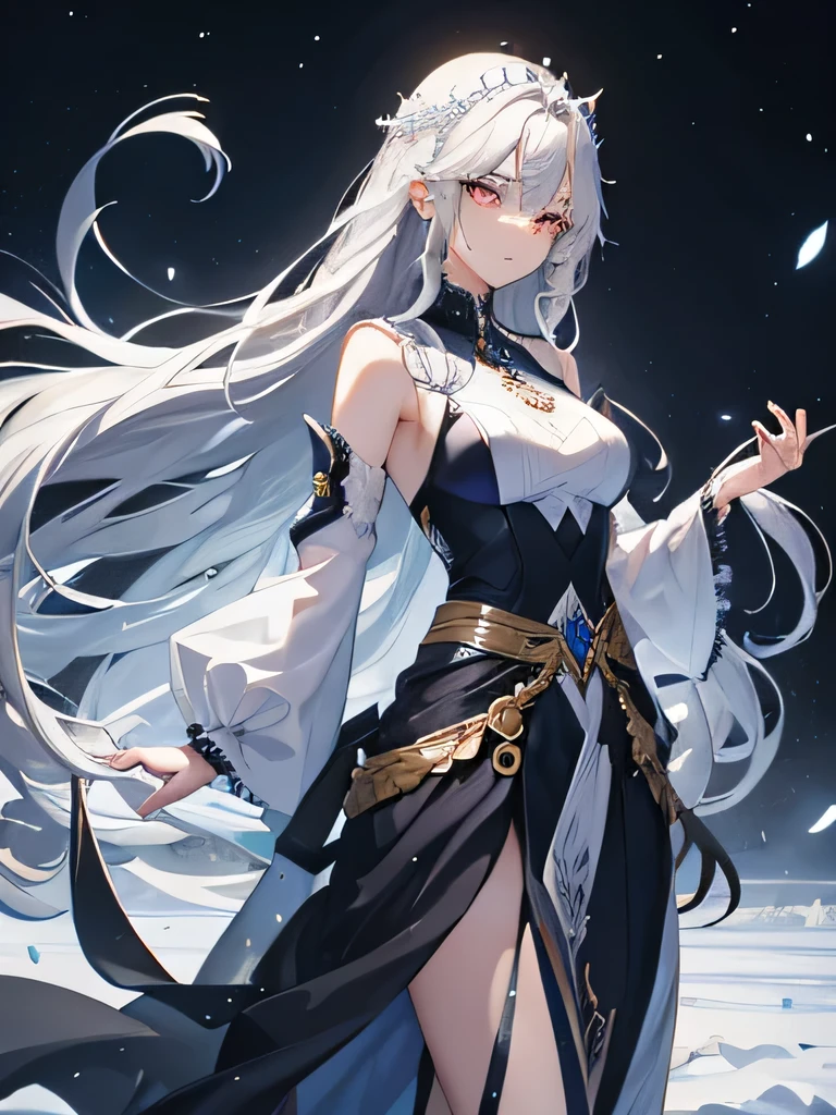 18 old girl with long silver hair flowing down her waist and silver eyes, cold expression, wilding ice affinity.